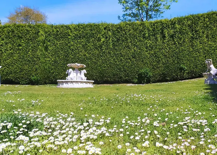 酒店 巴雷罗酒店 3*